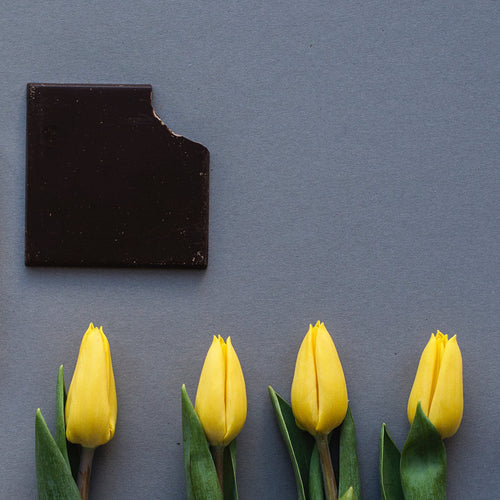 Sjokolade og påsketulipaner