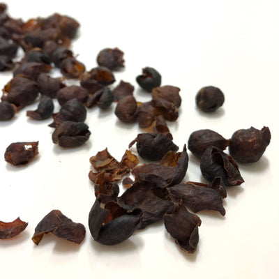 Infusjon av kaffebær fruktig Cascara fra Helsar de Zarcero - KAFFAbutikk