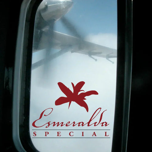 Jakten på verdens mest berømte kaffe: Et reisebrev fra Hacienda La Esmeralda (2007)