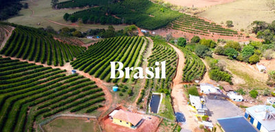 Brasil, kaffe og bærekraft i en ny hverdag