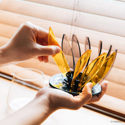 Hario V60 SUIREN Rib 6-piece Set