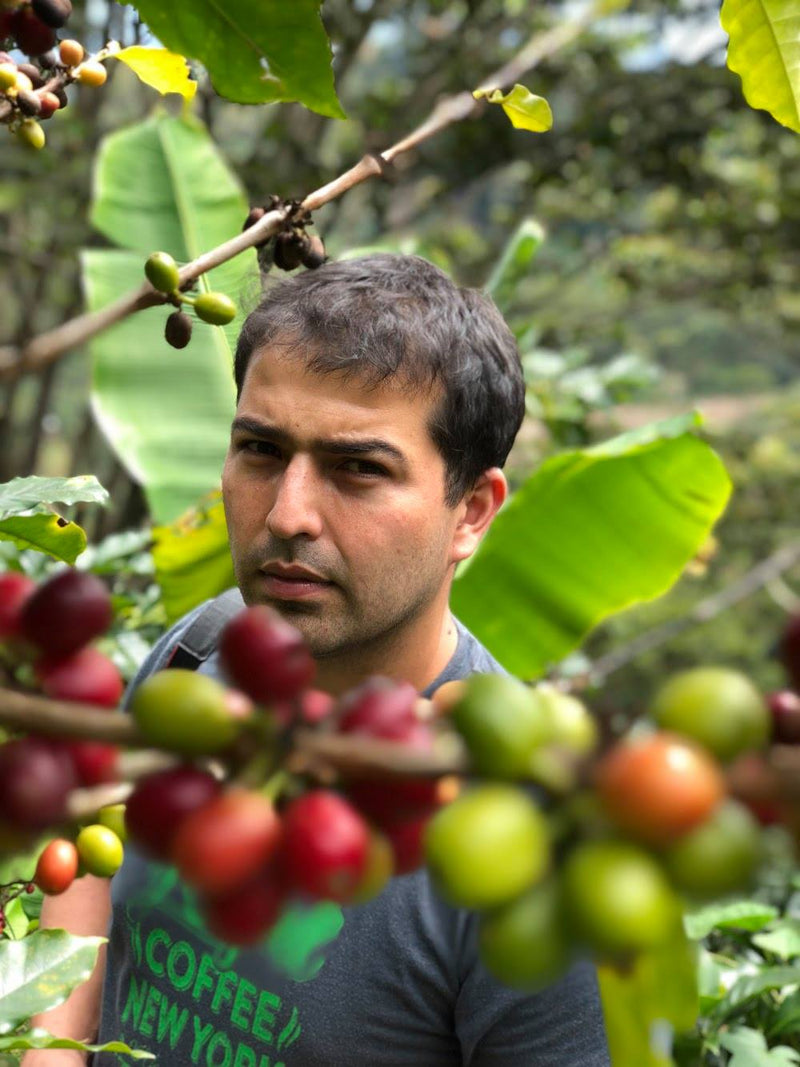 Kaffebønner Honduras La Salsa Geisha 125g