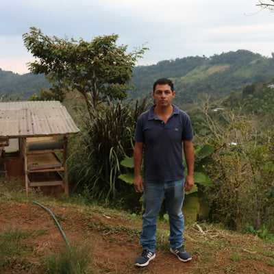 Kaffebønner Peru Damian Espinoza Økologisk