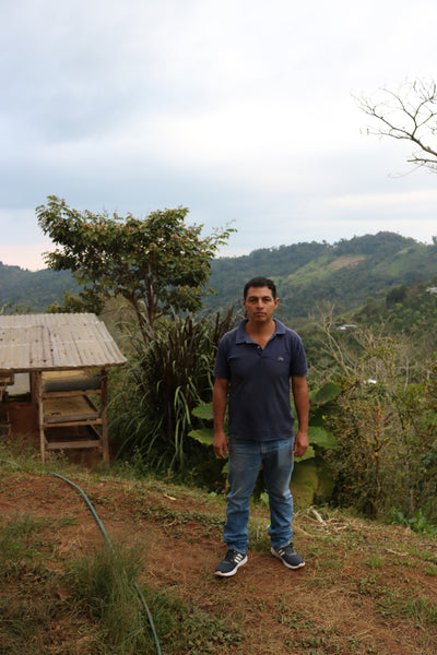 Kaffebønner Peru Damian Espinoza
