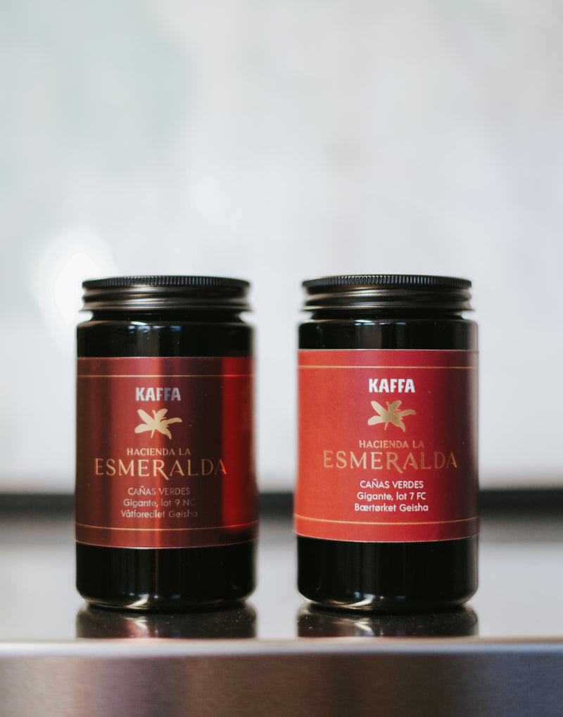 Geisha Jubileumssett: La Esmeralda, en studie i perfeksjon