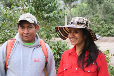 Kaffebønner Guatemala Las Palomas