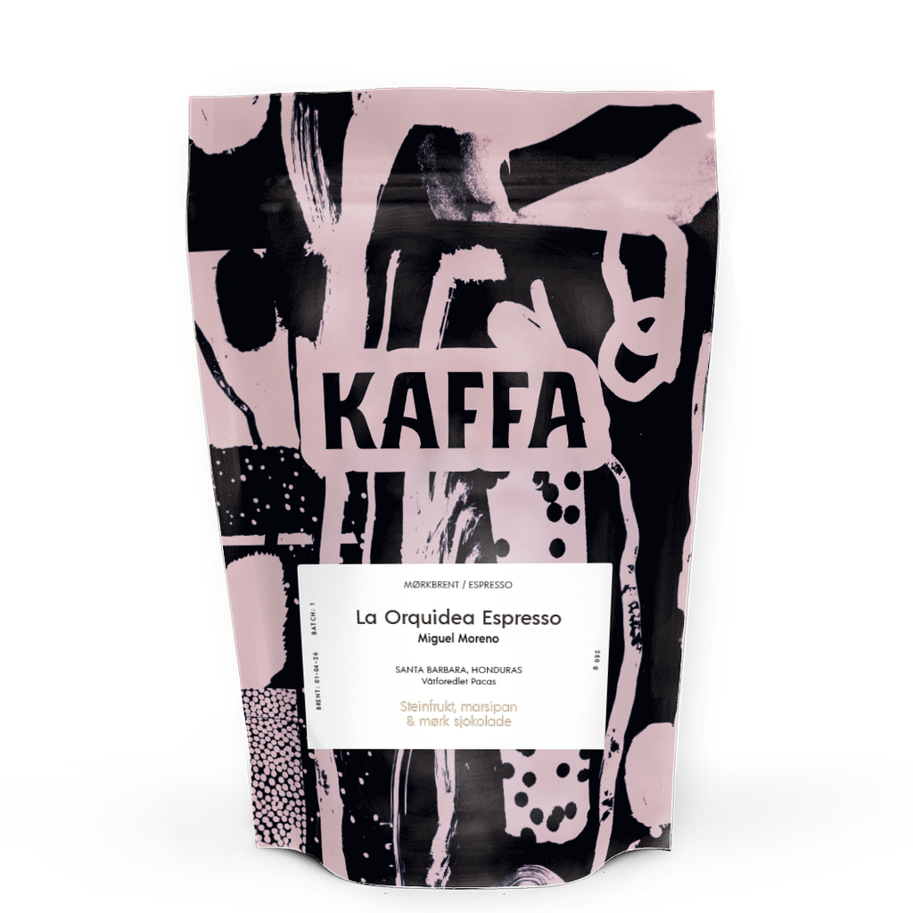Photo of Kaffebonner Honduras Benjamin Paz La Orquidea