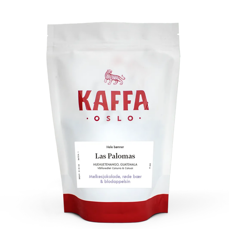 Kaffebønner Guatemala Las Palomas
