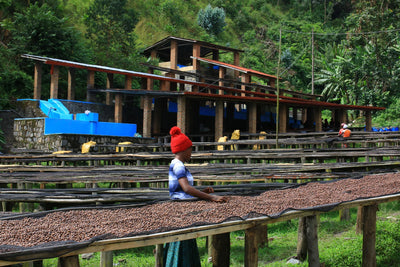 Kaffebønner Rwanda Ngoma 250g