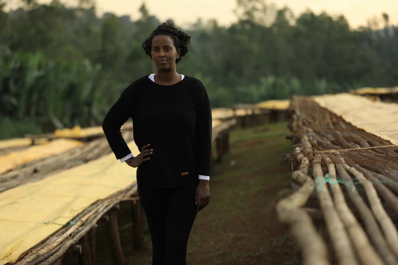 Kaffebønner Etiopia Bishan Fugu