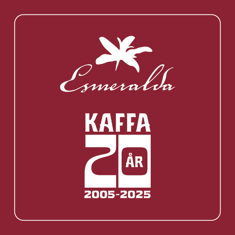 Geisha Jubileumssett: La Esmeralda, en studie i perfeksjon