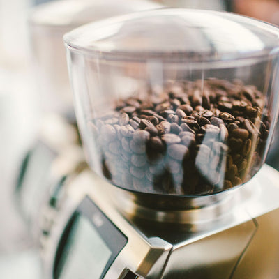 BARATZA Forté BG (Brew Grinder) - KAFFAbutikk